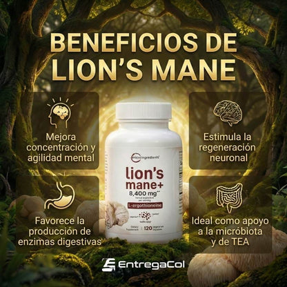 Melena de León con L-Ergotioneína, 120 cápsulas de origen vegetal | Apoyo para la salud cerebral, energética y inmunológica | Sin OMG