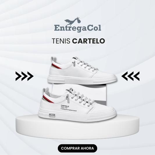 ¡PREMIUM! TENIS CARTELO⭐⭐⭐⭐⭐